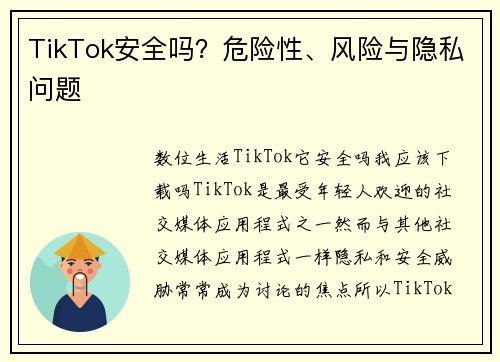 TikTok安全吗？危险性、风险与隐私问题